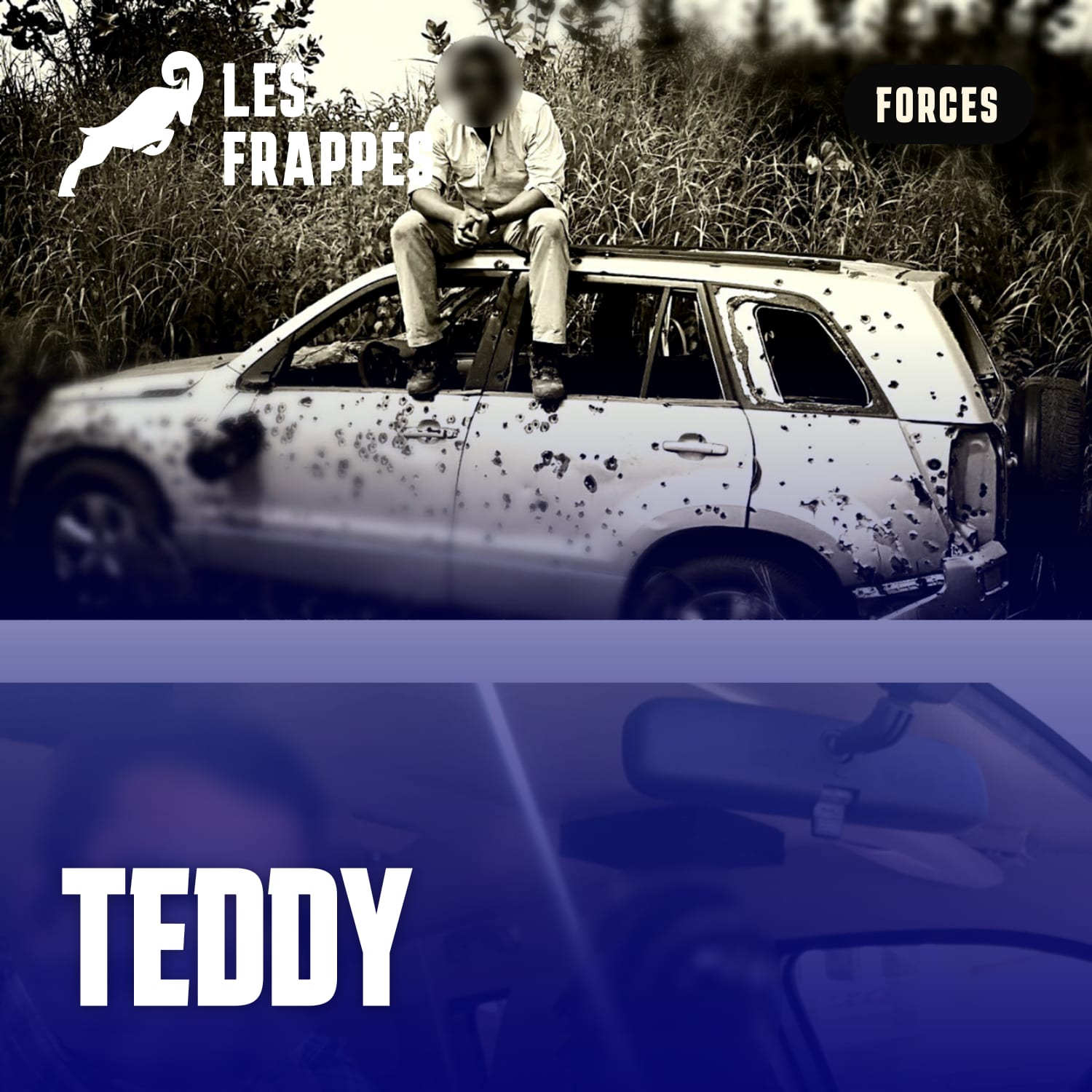 Teddy